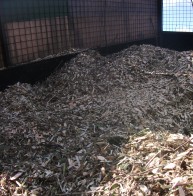 wood chip feature